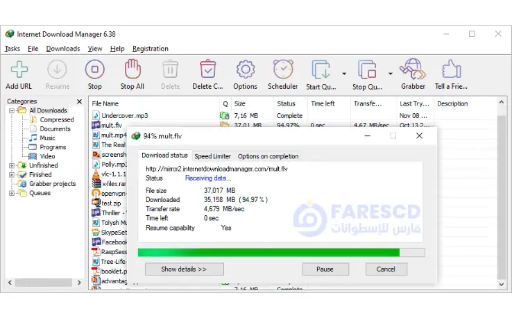 Internet Download Manager